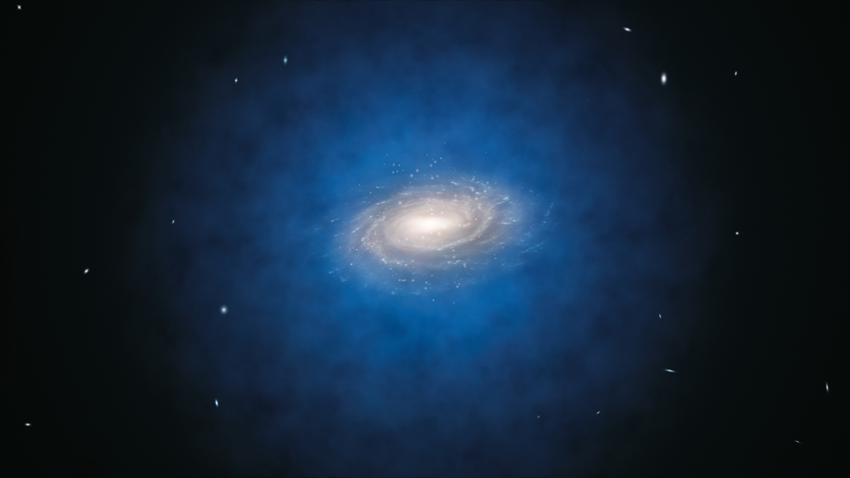 Nearby Dark Matter Mysteriously Missing